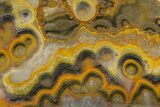Polished Bumblebee Jasper - Mount Papandayan, Indonesia #194435-1